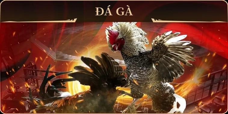 Bật Mí Cách Chơi Đá Gà GA28 Tại 888Slot Siêu Chuẩn Cho Người Mới