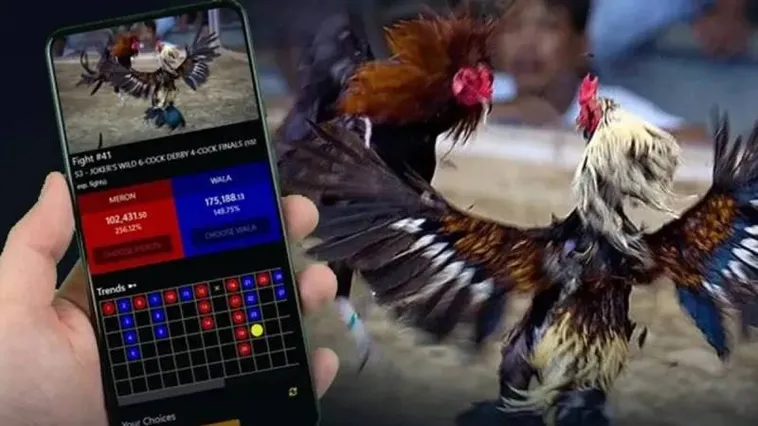 Trải Nghiệm Sàn Đấu Kịch Tính Đá Gà 888Slot Đẳng Cấp Hàng Đầu Châu Á